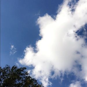 Meet your Posher, Chloe